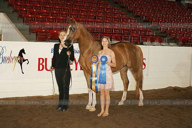 Proof 06buckeye_0560