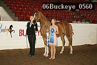 06buckeye_0560 proof