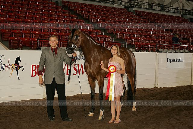 Proof 06buckeye_0561