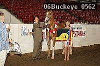 06buckeye_0562 proof