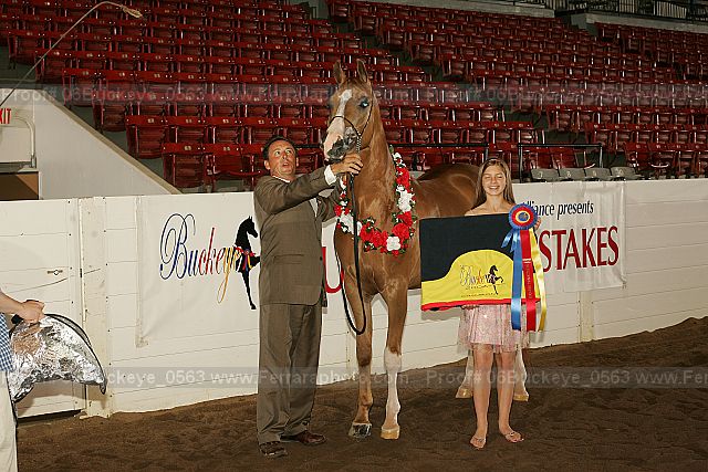 Proof 06buckeye_0563