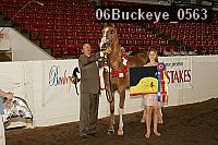 06buckeye_0563 proof