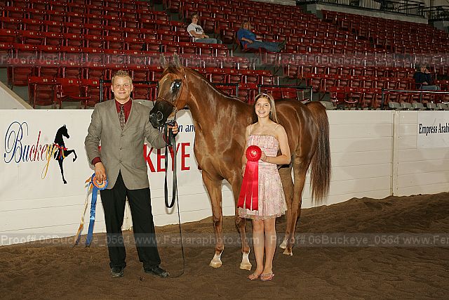Proof 06buckeye_0564