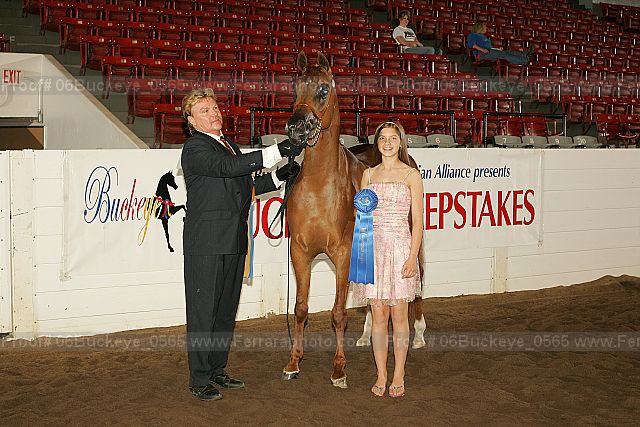 Proof 06buckeye_0565