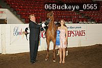 06buckeye_0565 proof