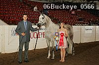 06buckeye_0566 proof