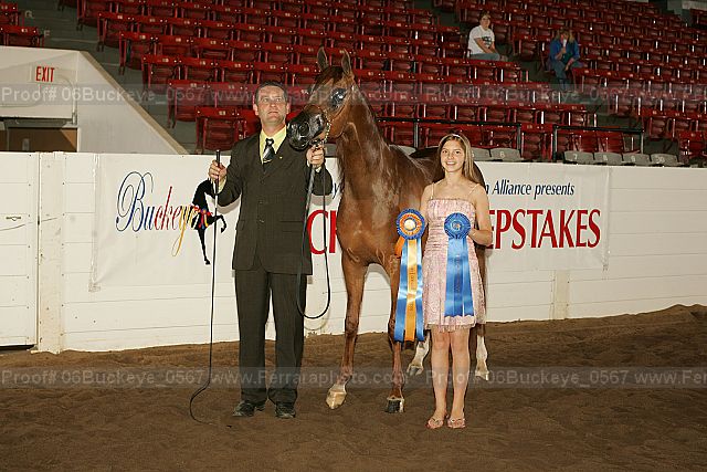Proof 06buckeye_0567
