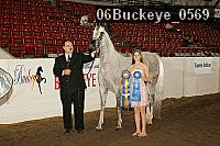 06buckeye_0569 proof