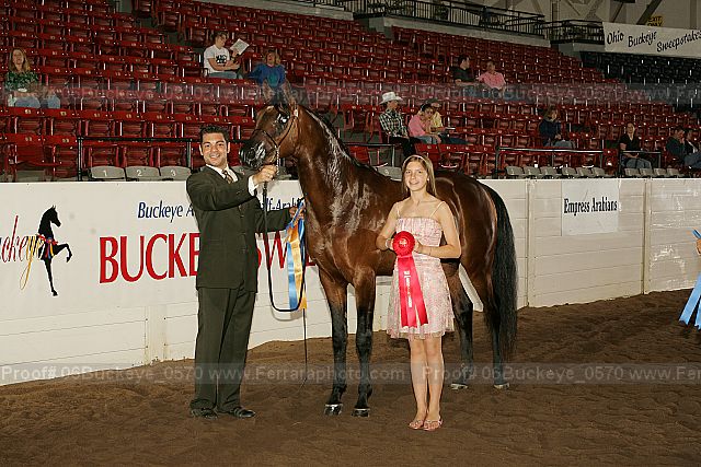 Proof 06buckeye_0570