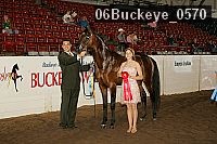 06buckeye_0570 proof