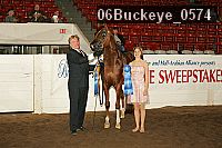 06buckeye_0574 proof