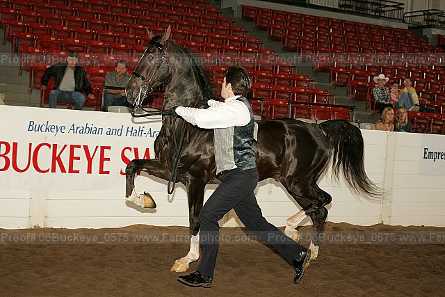 Proof 06buckeye_0575