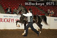 06buckeye_0575 proof