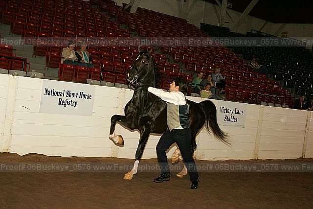 Proof 06buckeye_0576