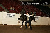 06buckeye_0576 proof