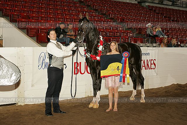Proof 06buckeye_0577