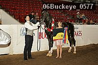 06buckeye_0577 proof