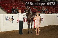 06buckeye_0578 proof