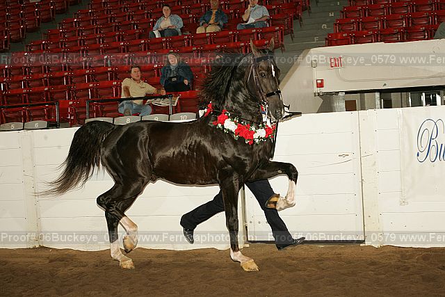 Proof 06buckeye_0579