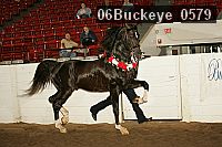 06buckeye_0579 proof