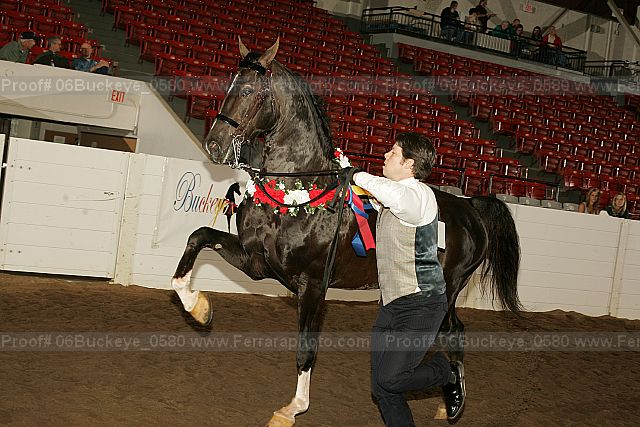 Proof 06buckeye_0580