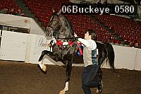 06buckeye_0580 proof