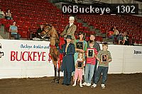 06buckeye_1302 proof