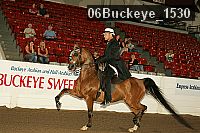 06buckeye_1530 proof