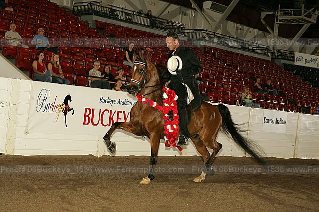 Proof 06buckeye_1536