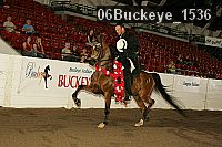 06buckeye_1536 proof