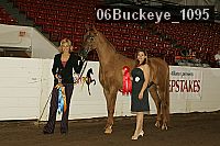06buckeye_1095 proof