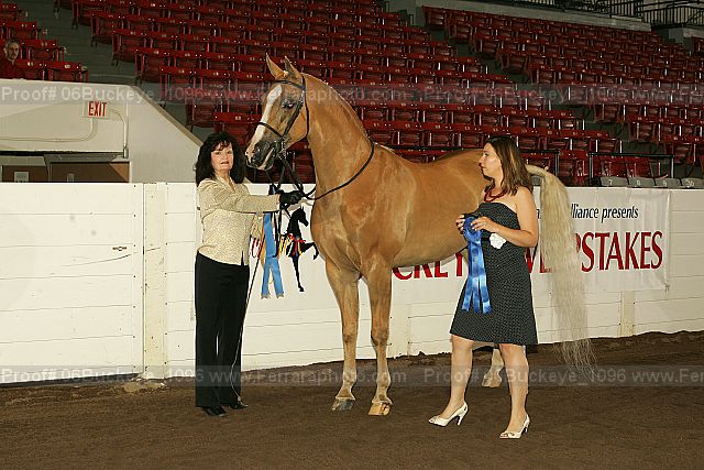 Proof 06buckeye_1096