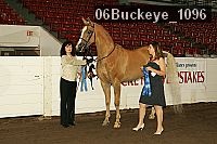 06buckeye_1096 proof