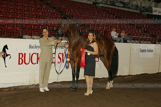 Proof 06buckeye_1097