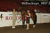 06buckeye_1097 proof