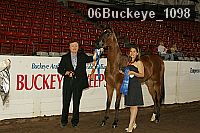 06buckeye_1098 proof