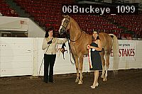06buckeye_1099 proof