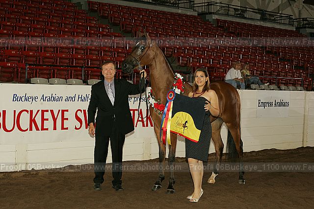 Proof 06buckeye_1100