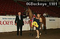 06buckeye_1101 proof