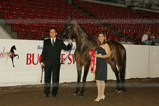 Proof 06buckeye_1102