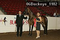 06buckeye_1102 proof