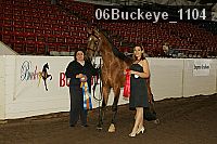 06buckeye_1104 proof