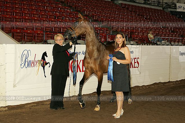 Proof 06buckeye_1105