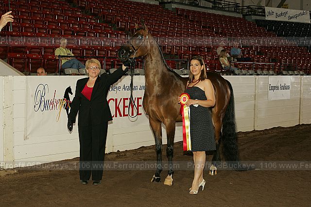 Proof 06buckeye_1106