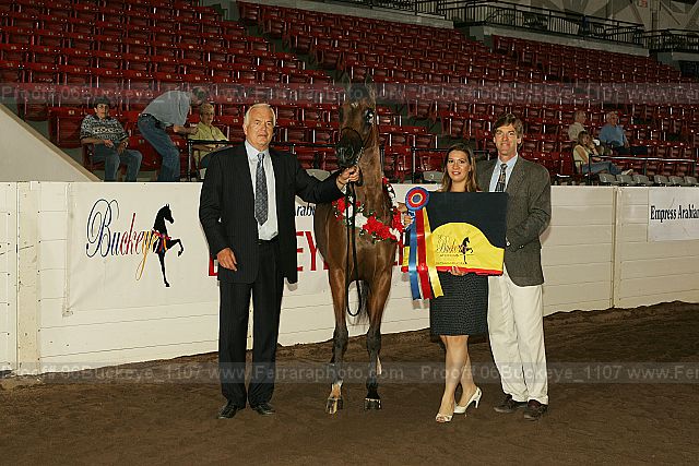 Proof 06buckeye_1107