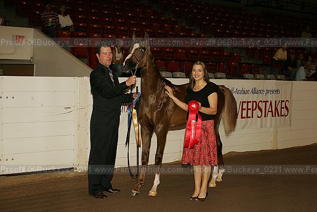 Proof 06buckeye_0231
