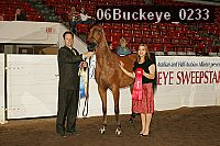 06buckeye_0233 proof