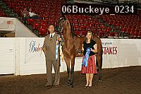 06buckeye_0234 proof