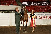 06buckeye_0236 proof