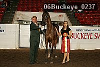 06buckeye_0237 proof